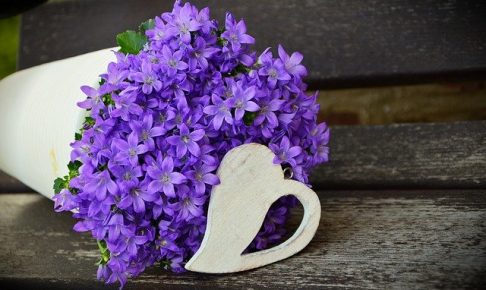 紫の花束